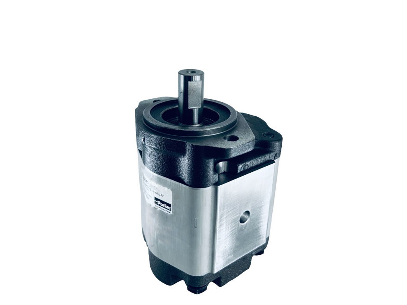 ZUPčASTA PUMPA PGP517A0380CM1H2NB1B1E5E5